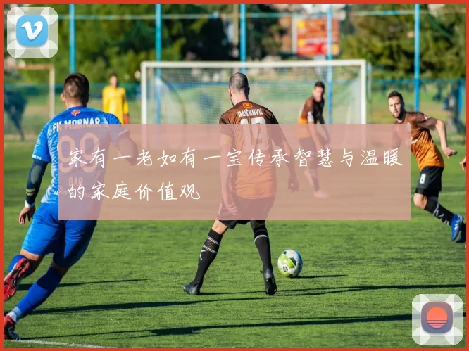 家有一老如有一宝传承智慧与温暖的家庭价值观